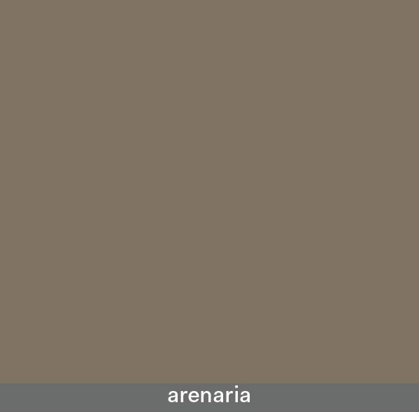 arenaria (1)